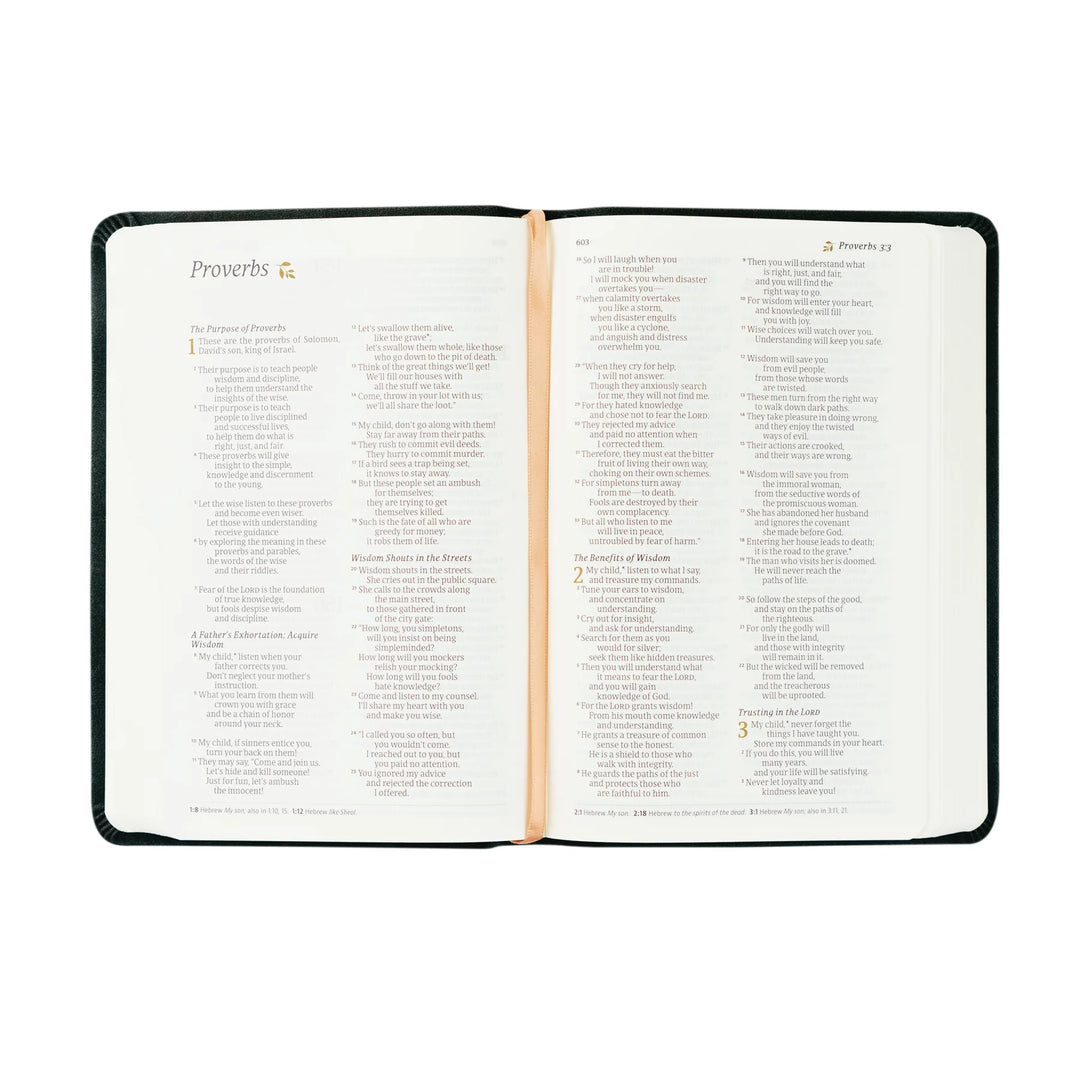 Hosanna Revival Compact NLT Bible: Jerusalem Theme | Beautiful Bible | Black Bible